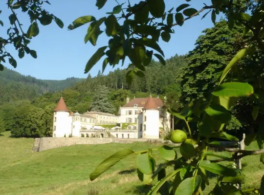 Château de Pramenoux à Lamure-sur-Azergues