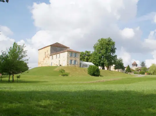 Château d'Aon à Hontanx
