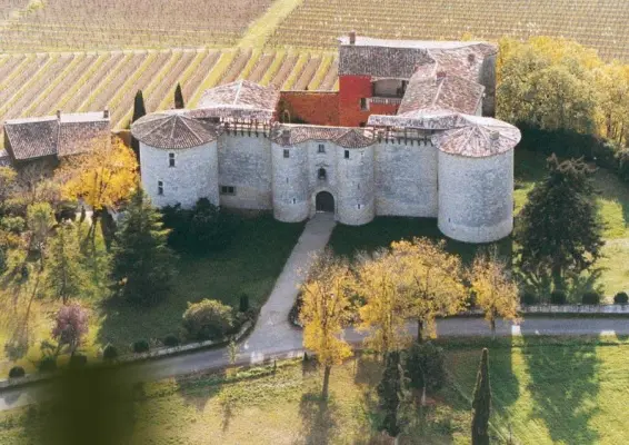 Chateau de Mauriac à Senouillac