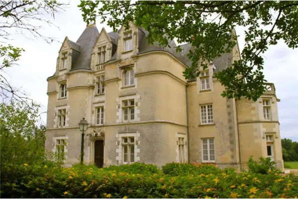Chateau Perigny à Ayron